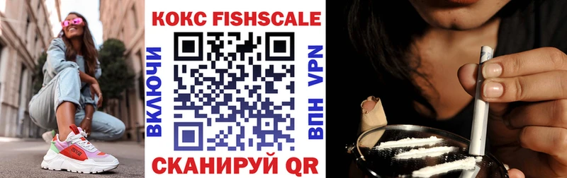 Кокаин FishScale MEGA вход Николаевск-на-Амуре