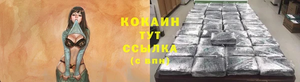 бошки Алзамай