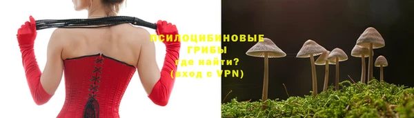 скорость Алексин