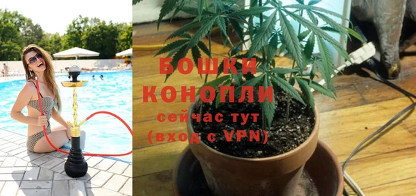 бошки Алзамай