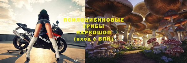 бошки Алзамай