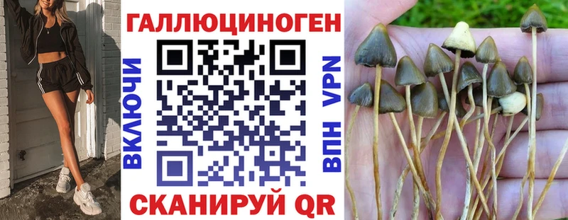 дарк нет официальный сайт  где купить наркоту  Николаевск-на-Амуре  Псилоцибиновые грибы Cubensis 