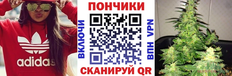 Марихуана сатива  где можно купить наркотик  кракен рабочий сайт  Николаевск-на-Амуре 